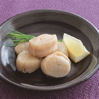ごちそうグルメ 【送料無料】ほたて貝柱水煮（天日干し）14缶 ■(No.0080)