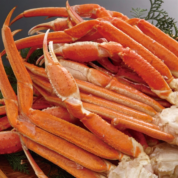 ごちそうグルメ 【送料無料】豪快 ジャンボずわいがに脚スペシャル 1.5kg(3L～4L)お得な2セット■(No.0002)
