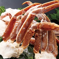 ごちそうグルメ 希少生冷ずわいがに肩付き脚1.5kg ■（No.0007）