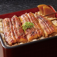 【2024年お届けのご注文は12/3まで】浜名湖産うなぎの蒲焼串（レンジのみ）【100g x 3袋】7878-00004