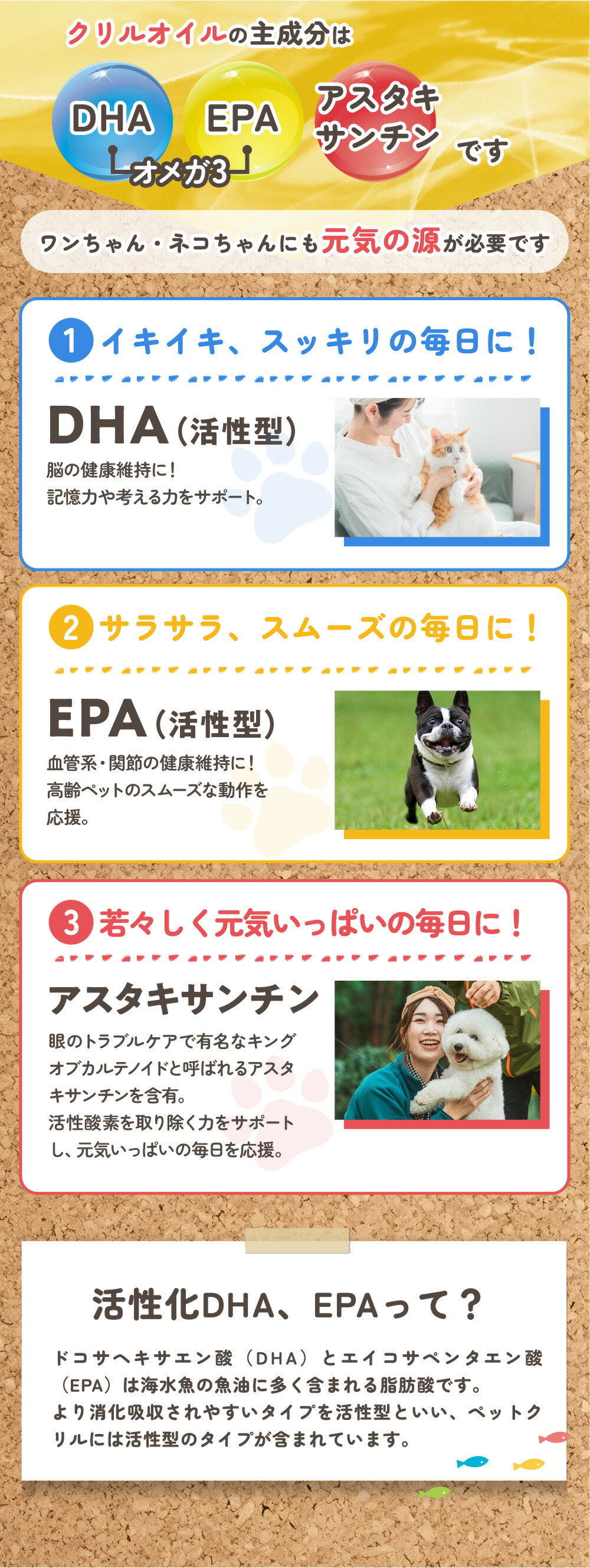 KawaANSET 犬用サプリメント 30カプセル3箱セット 犬猫小動物用）サイリウムカプセル – anicure