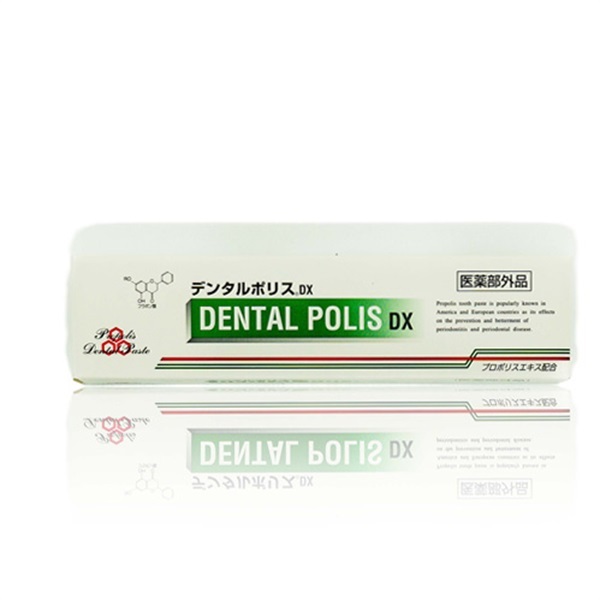 森下仁丹 デンタルポリスDX 80g●1個■医薬部外品▼歯槽膿漏予防 歯磨き粉 プロポリス▲30710