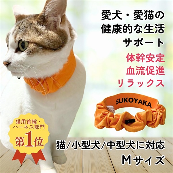 すこやか専科 +wanシュシュ Mサイズ●1セット▲blank83