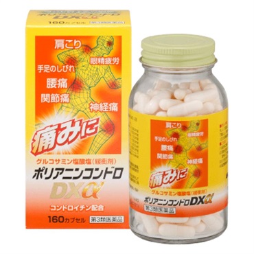 【第3類医薬品】ビタミン製剤 ポリアニンコンドロDX α 160錠