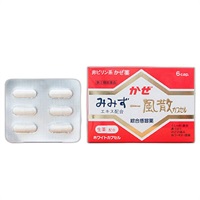 【第(2)類医薬品】かぜ薬 一風散カプセル 6錠