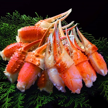 ズワイガニ 本ずわい蟹の爪肉(ボイル) 500g