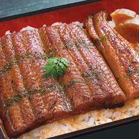 ウナギの蒲焼 浜名湖産 うなぎ蒲焼 100g タレ・山椒付き 2セット