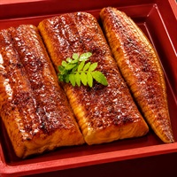 ウナギの蒲焼 愛知一色産 うなぎ蒲焼 100g タレ・山椒付き 2セット
