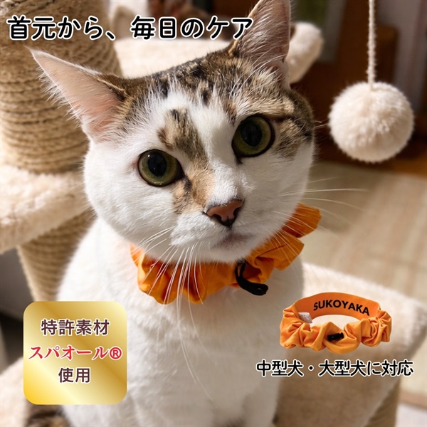 ペットシュシュ 健康サポート用 すこやか専科 +wanシュシュ Lサイズ