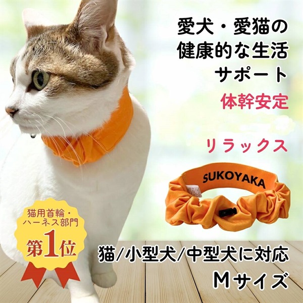 ペットシュシュ 健康サポート用 すこやか専科 +wanシュシュ Mサイズ