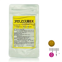 アクティブに過ごしたい方に アガリクス茸EX 1ヶ月分