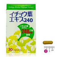うっかりが気になる方に イチョウ葉エキス240 1ヶ月分