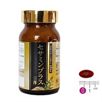 【ゴン】サルミアナ、エクセルサNo.007 Golden SQ