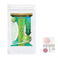 ナノスリム　60袋　プロテイン　ダイエット ナノスリム 60袋