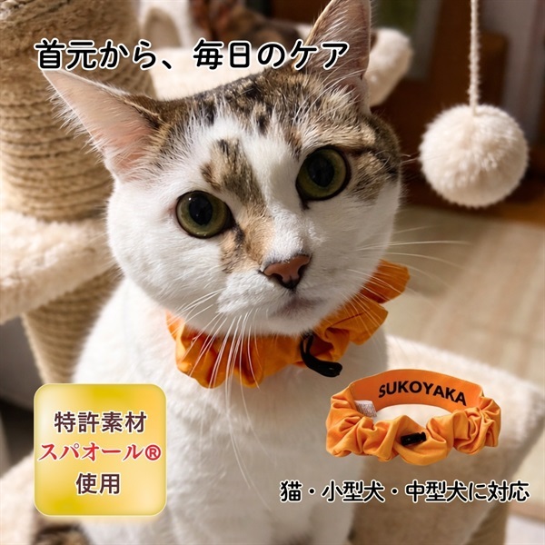 ペットシュシュ すこやか専科 +wanシュシュ Mサイズ