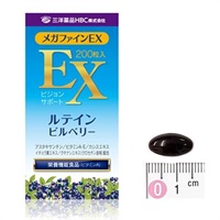 メガファインEX 3ヶ月分