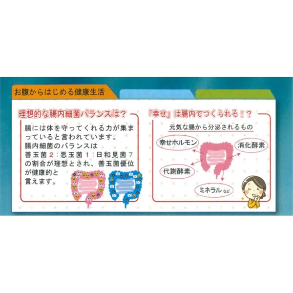 おやつ感覚で続けやすい ぷるるるん 乳酸菌グランドゼリーα 30包