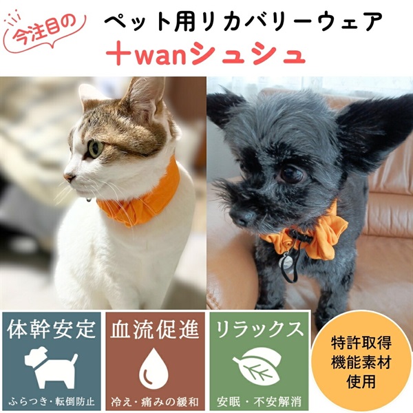 商品サブ画像