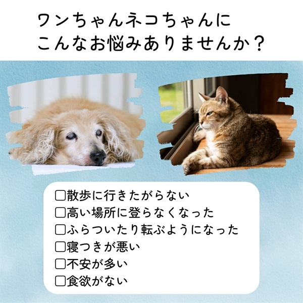 商品サブ画像