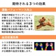 商品サブ画像