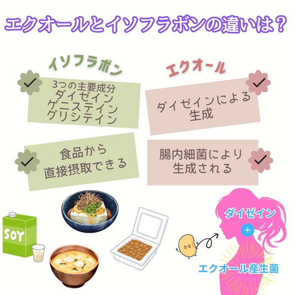 フェムケアサプリ エクオール+イソフラボン三洋 1ヶ月分