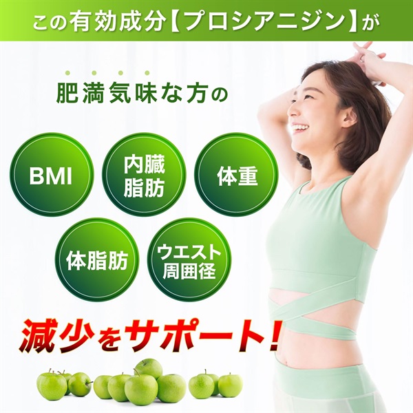 BMIが高めの方に 体重・体脂肪・内臓脂肪・ウエスト周囲径の減少を